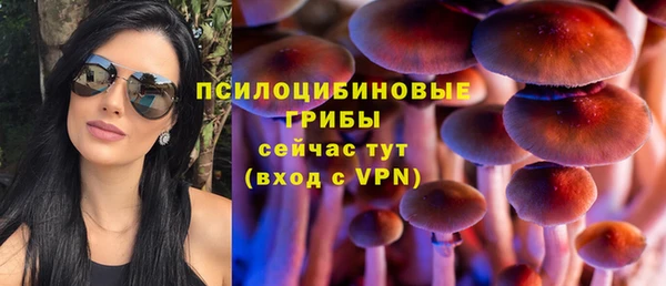 a pvp Алексин